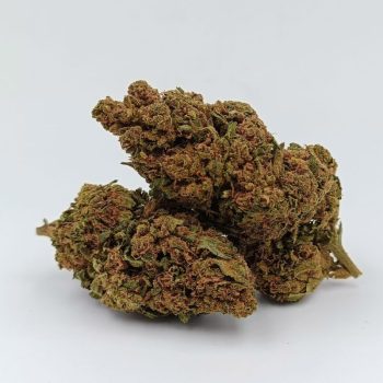Red Widow